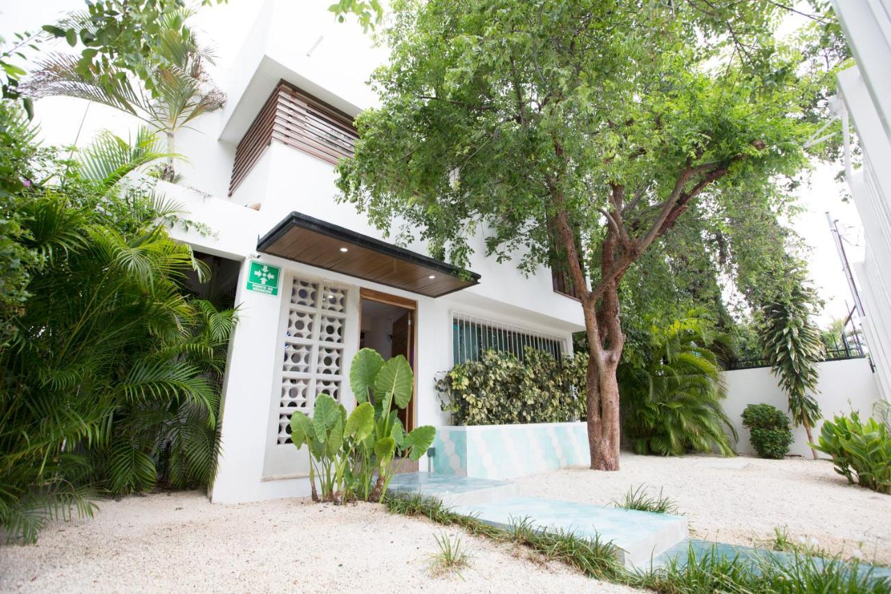 칸쿤 Cielo Neuf B&B 외부 사진